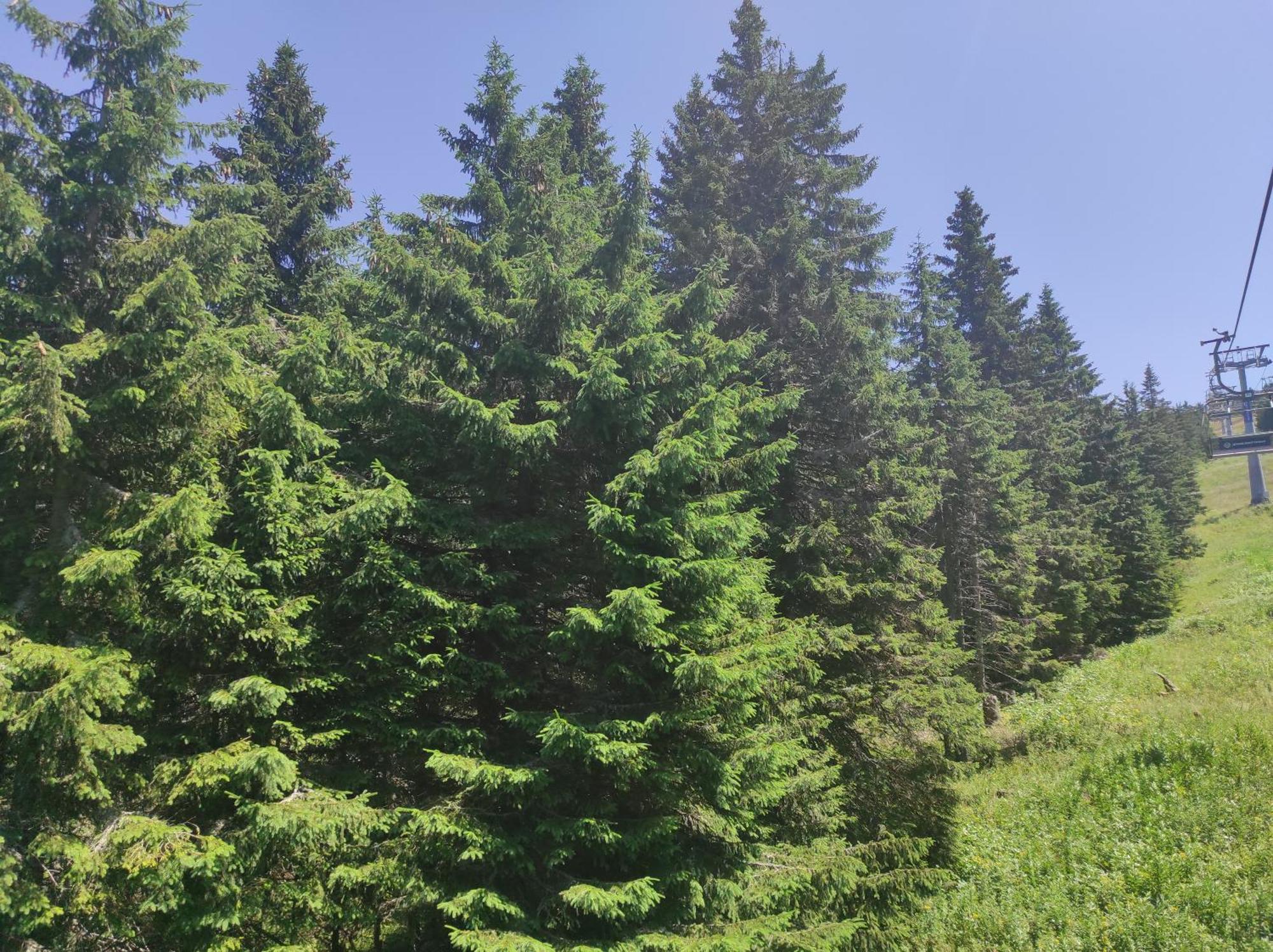 Luksuzni Dupleks Kopaonik Exterior foto