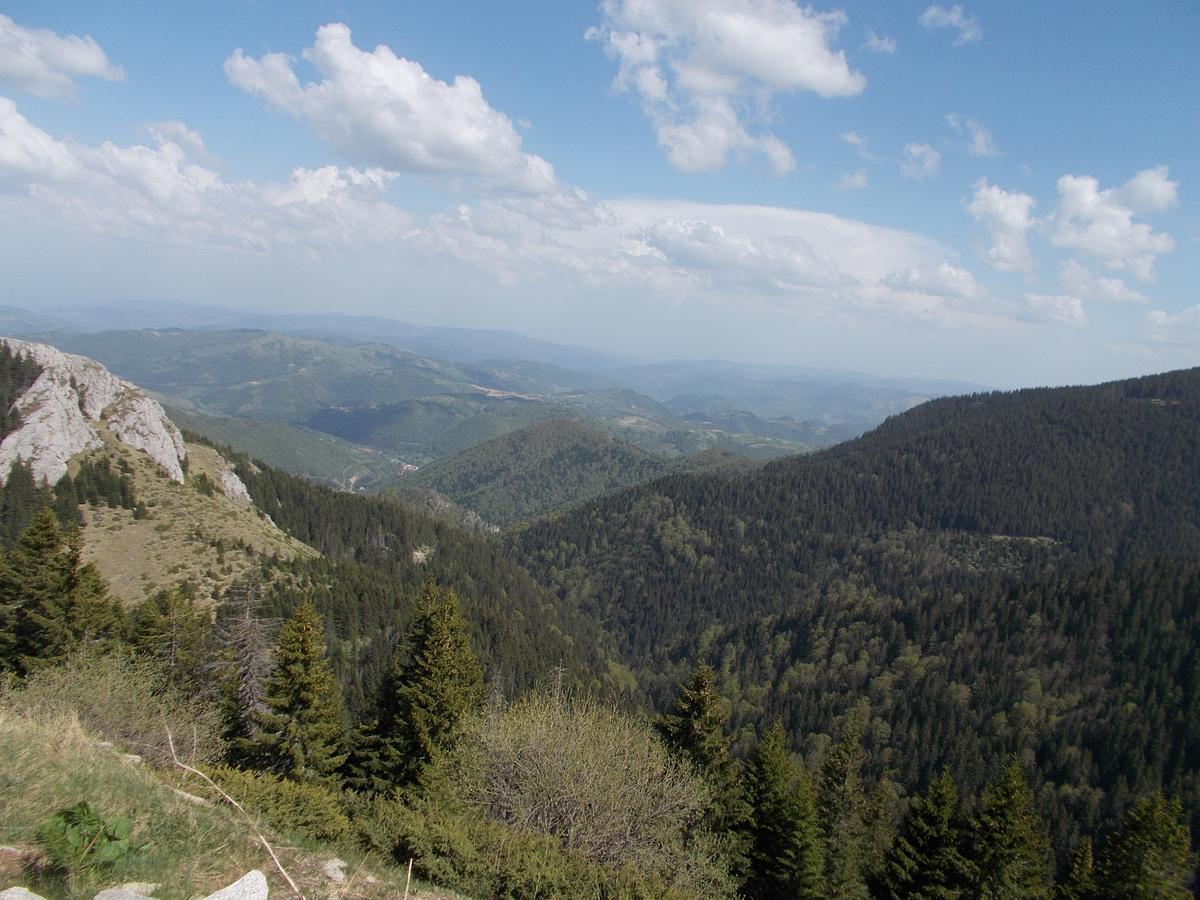 Ferienwohnung Luksuzni Dupleks Kopaonik Exterior foto