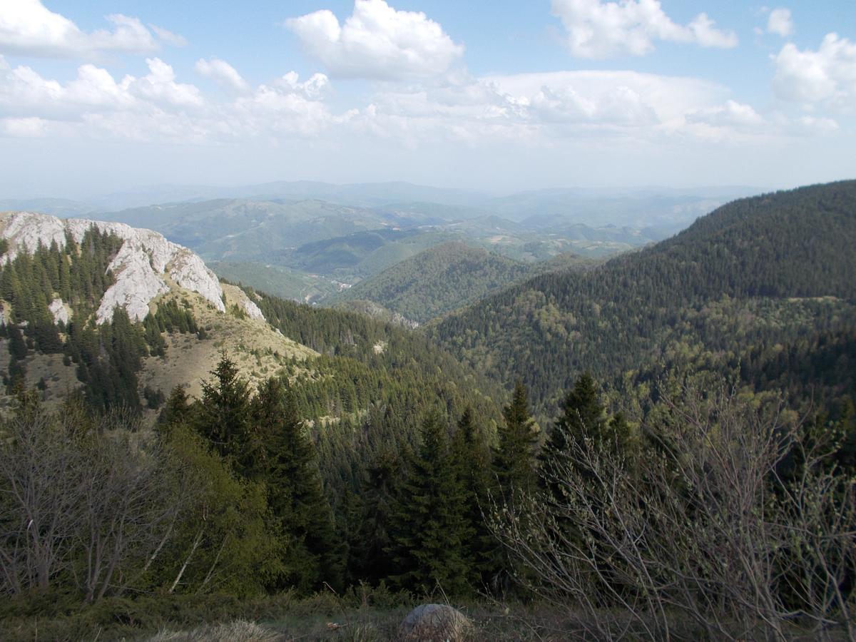 Luksuzni Dupleks Kopaonik Exterior foto