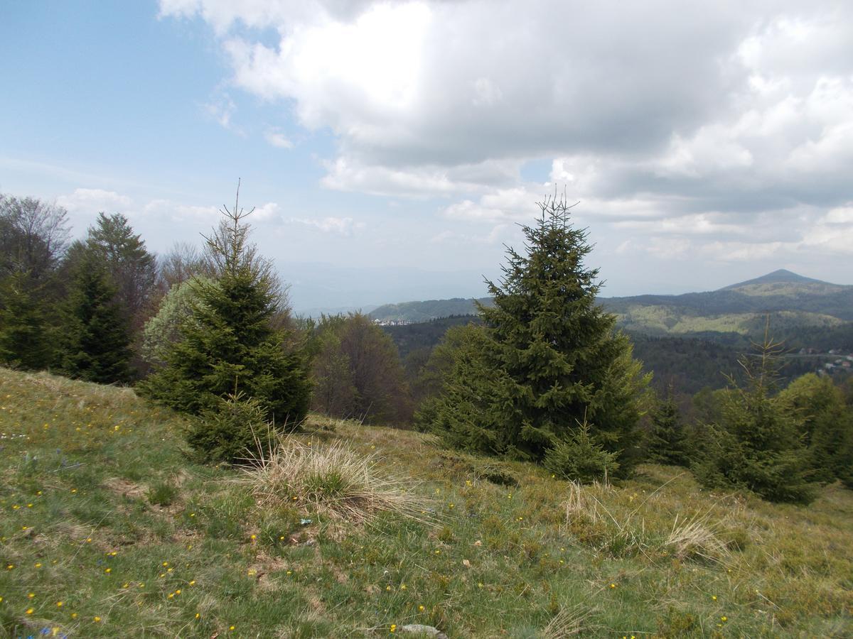 Ferienwohnung Luksuzni Dupleks Kopaonik Exterior foto