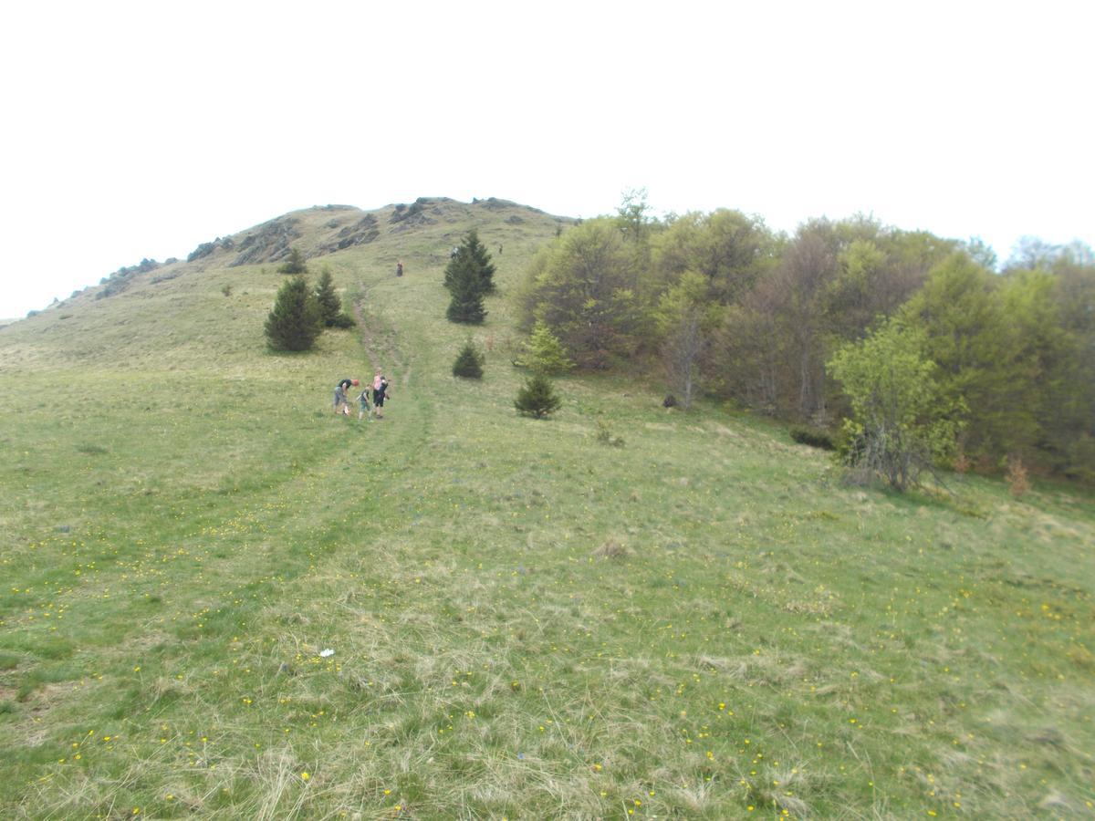 Luksuzni Dupleks Kopaonik Exterior foto