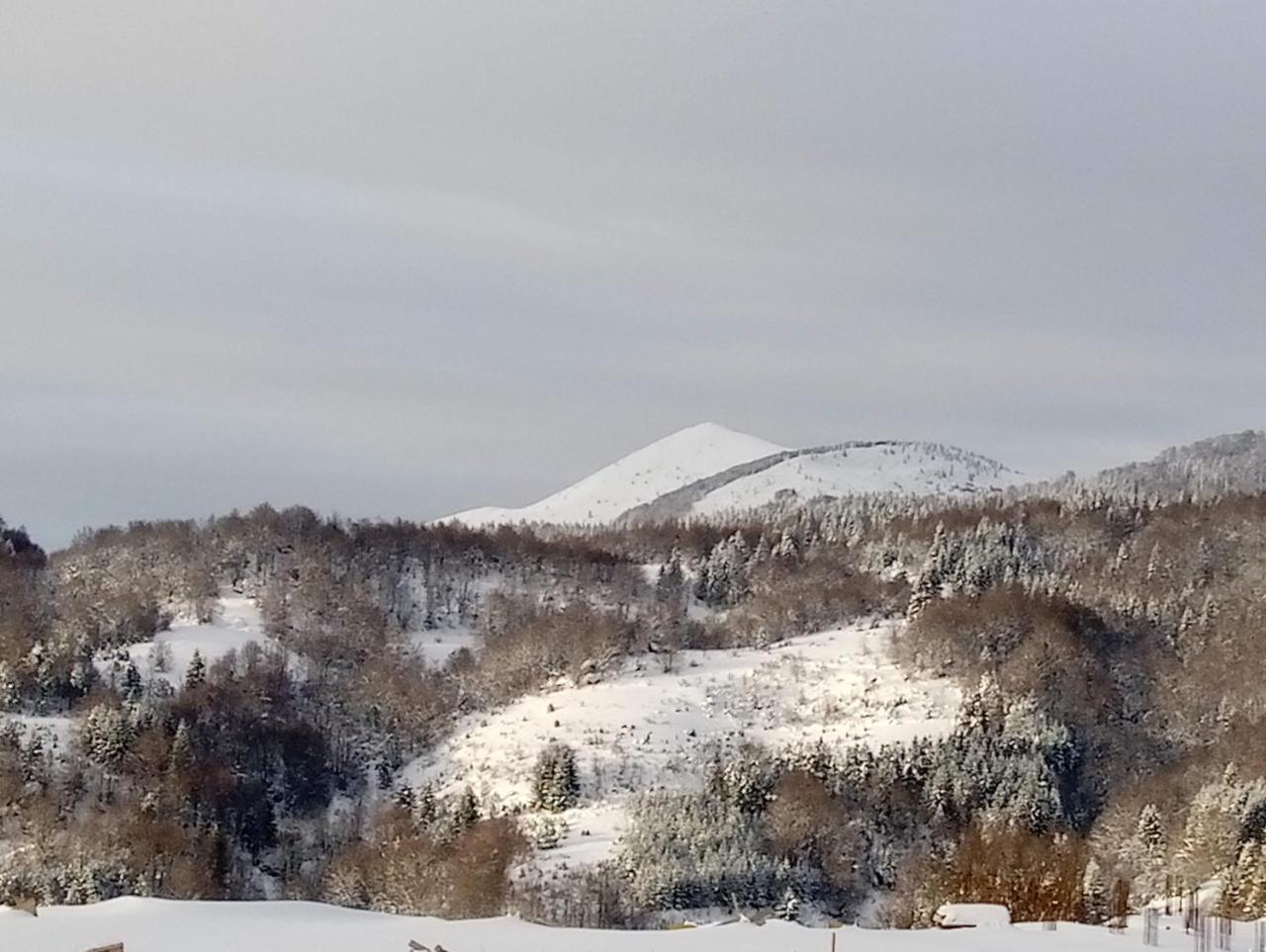 Ferienwohnung Luksuzni Dupleks Kopaonik Exterior foto