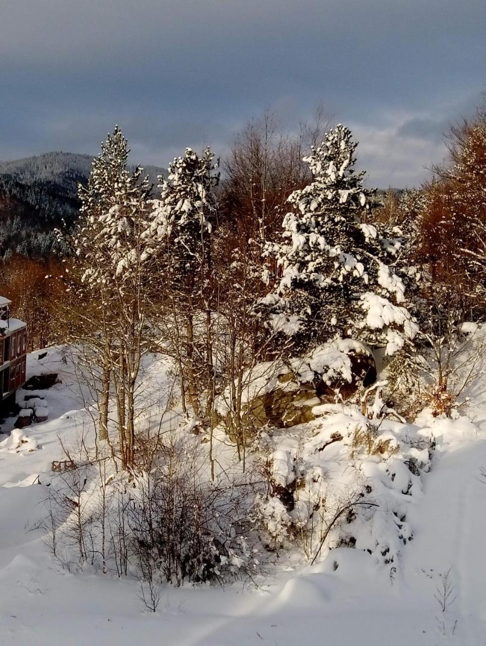 Ferienwohnung Luksuzni Dupleks Kopaonik Exterior foto